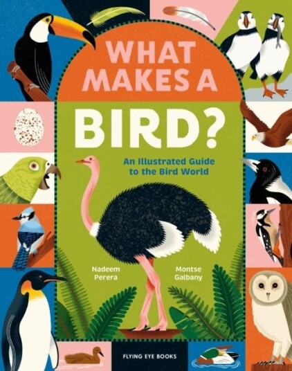 What Makes a Bird? What Makes a Bird?