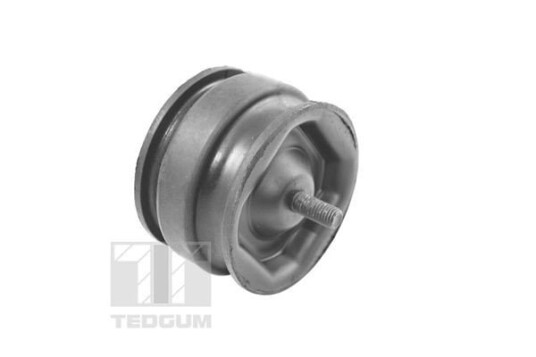 Motorfeste TEDGUM 00221175 Motorfeste TEDGUM 00221175