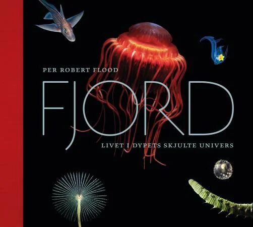 Fjord Av Per Robert Flood