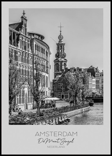 In focus: AMSTERDAM De Munt Plakat Plakat / 70x100cm