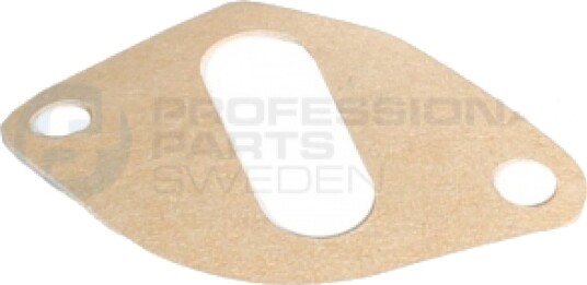 Tetning drivstoffpumpe Professional Parts 21438905