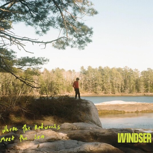 Windser Where The Redwoods Meet The Sea CD