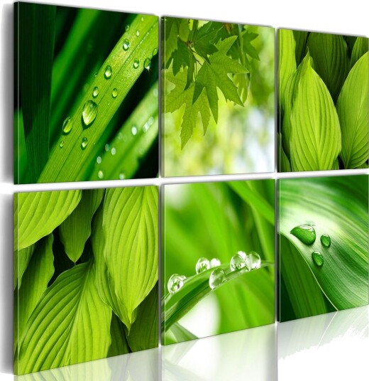 Bilde Fresh Green Leaves 120x80 Artgeist sp. z o. o.
