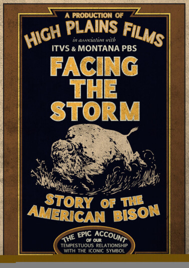 Facing The Storm: Story Of The American Bison DVD