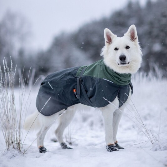 Non-Stop Dogwear Glacier Wool Hundejakke 2.0 27 cm Grønn/Grå Non-Stop Dogwear Glacier Wool Hundejakke 2.0 27 cm Grønn/Grå
