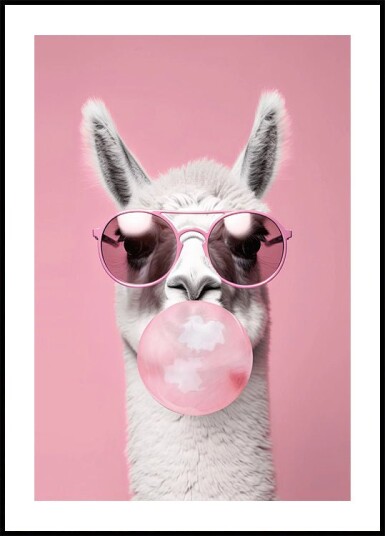Llama With Bubble Gum Plakat Plakat / 70x100cm