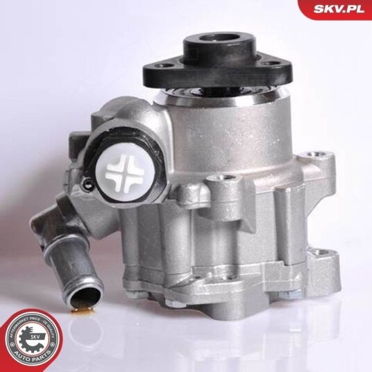ESEN SKV 10SKV167 Servopumpe