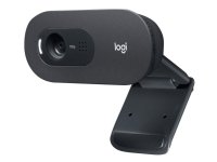 Logitech C505e - Nettkamera - farge - 720p - fastfokal - lyd - USB