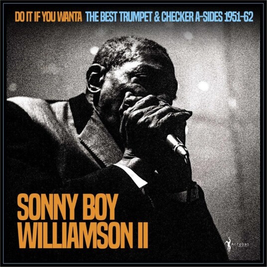 Sonny Boy Williamson Do It If You Wanta The Best Trumpet Checker A Sides 1951 62 Vinyl