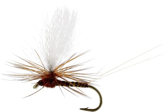 Unique Flies Marginata Dun Quill Brown