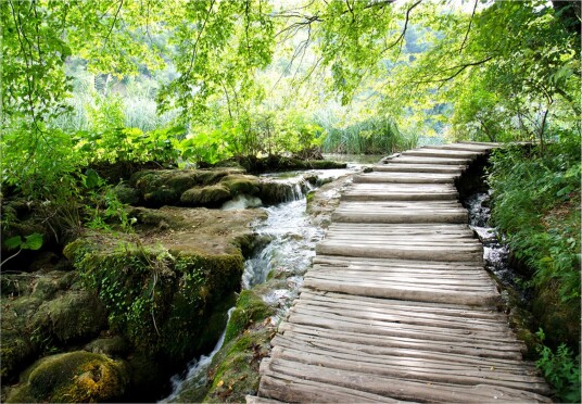 Fototapet Forest Path 300x210 - Artgeist sp. z o. o.