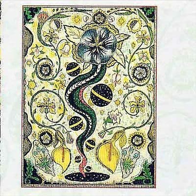 Steve Earle : I Feel Alright CD Pre Owned Steve Earle : I Feel Alright CD Pre Owned