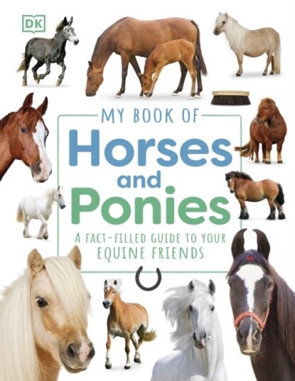 My Book of Horses and Ponies My Book of Horses and Ponies