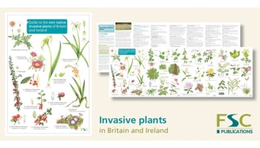 Guide to the nonnative invasive plants of Britain and Ireland