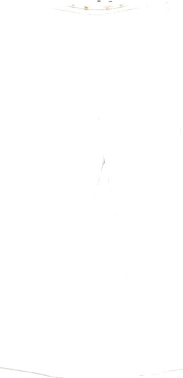 Elisabetta Franchi Dame Bukser Hvit XL,