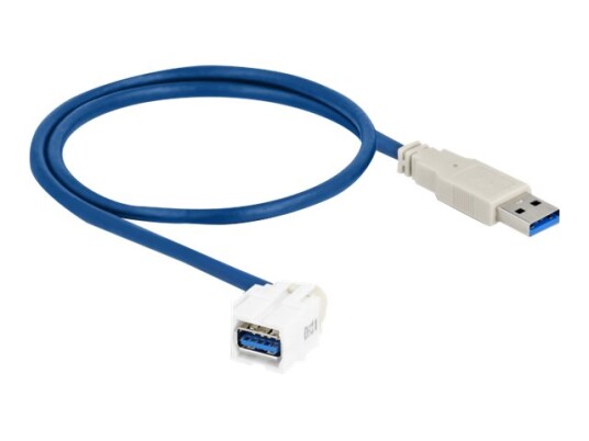 Delock Modulinnlegg 250° Angled 50 Cm Usb 3.0 Type A Hvit 86871