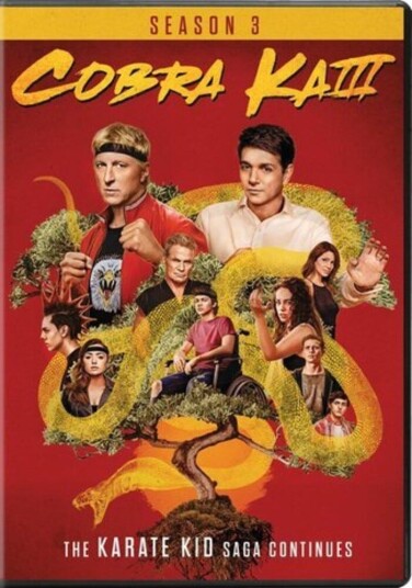 Cobra Kai Sesong 3 DVD Cobra Kai Sesong 3 DVD