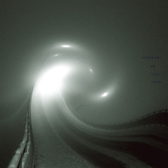 James Welburn Sleeper In The Void Vinyl
