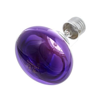 Omnilux R80 Lamp E27 Violet Omnilux R80 Lamp E27 Violet