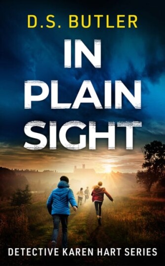 In Plain Sight In Plain Sight