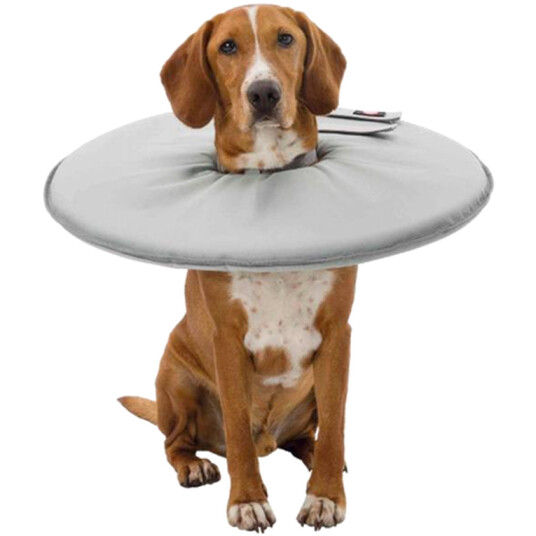 Dog Care Protective Collar For Dogs Small Dog Care Protective Collar For Dogs Small