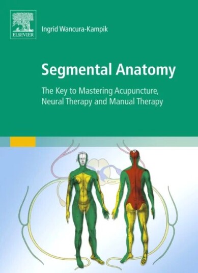 Segmental Anatomy Av Ingrid Wancura-Kampik Segmental Anatomy Av Ingrid Wancura-Kampik