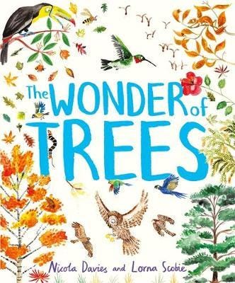 The Wonder Of Trees Av Nicola Davies The Wonder Of Trees Av Nicola Davies