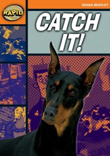 Rapid Reading: Catch It! (Starter Level 2a) Av Diana Bentley