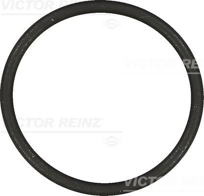 Tetning innsugningsmanifold REINZ 40 76854 00 Tetning innsugningsmanifold REINZ 40 76854 00