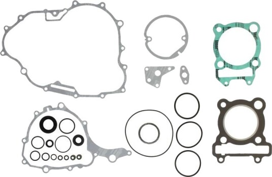 Tetnings helsett motor WINDEROSA 811924