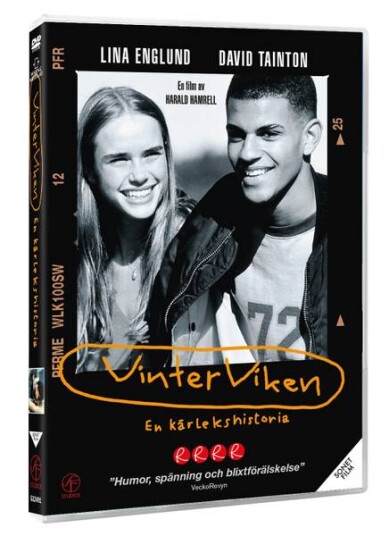 Vinterviken (1996) (DVD)