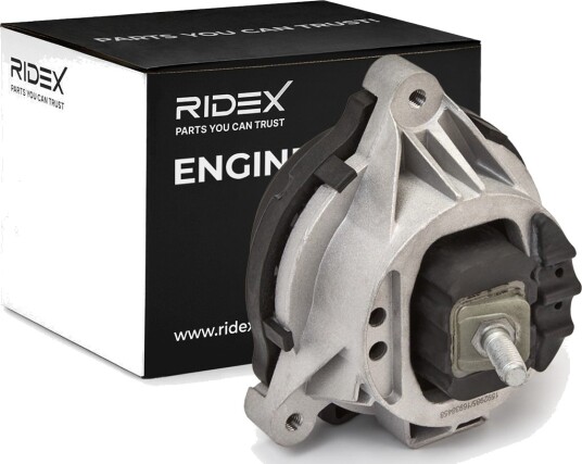 RIDEX 247E0781 Motorfeste