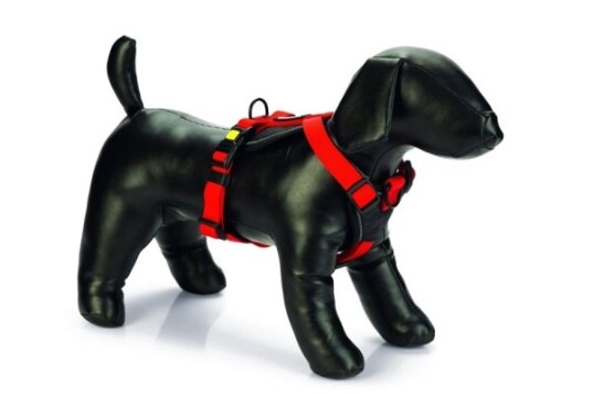 Sourcing Prem Y-Harness Parinca Red 60-76X25
