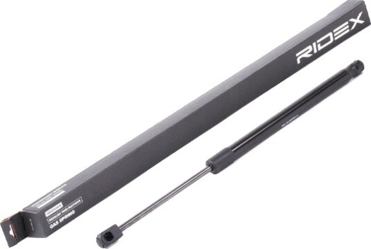 RIDEX 219G0890 Baklukedemper