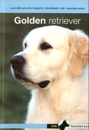 Golden retriever Golden retriever