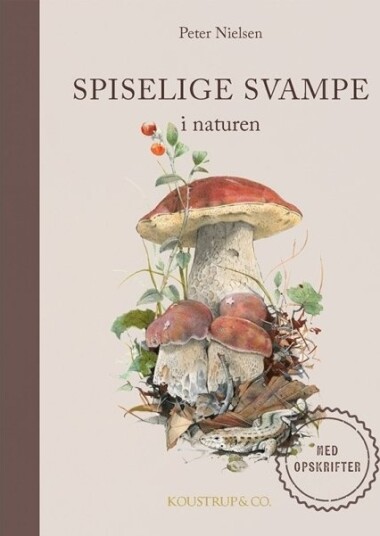 Spiselige Svampe | Peter Nielsen