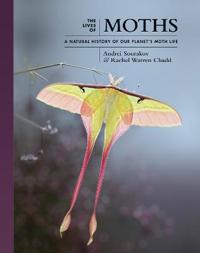 The Lives Of Moths Av Andrei Sourakov, Rachel Warren Chadd