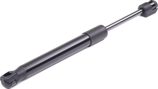 RIDEX 219G0218 Baklukedemper