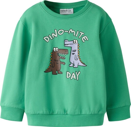 Name It Nmmdakkian Ls Nreg Swe Bru Green 110 Name It Nmmdakkian Ls Nreg Swe Bru Green 110