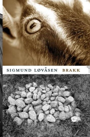 Brakk  roman