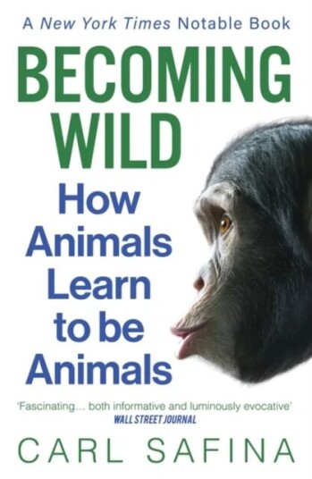 Becoming Wild Av Carl Safina Becoming Wild Av Carl Safina