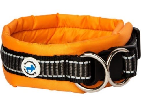 All For Dogs Oransje Hundehalsbånd R L 50 60 Cm