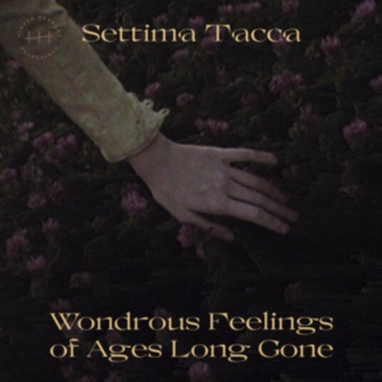 Settima Tacca Wondrous Feelings Of Ages Long Gone Uk Vinyl