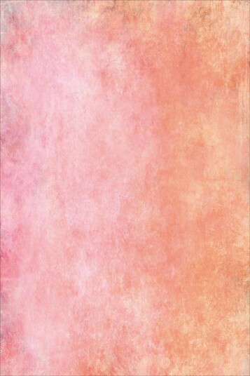 Wilton teppe Baden rosa Størrelse: 290 x 390 cm Wilton teppe Baden rosa Størrelse: 290 x 390 cm