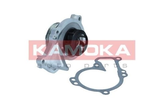 KAMOKA T0295 Vannpumpe