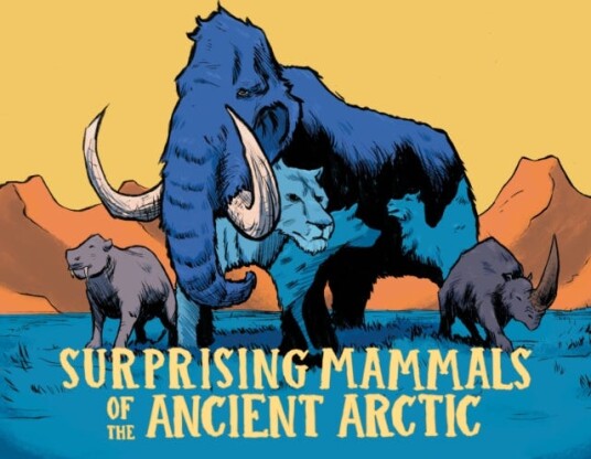 Surprising Mammals of the Ancient Arctic English Edition Surprising Mammals of the Ancient Arctic English Edition