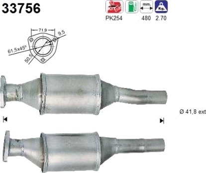 Katalysator AS 33756