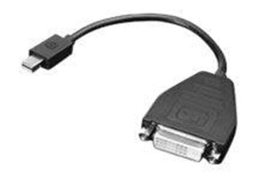 Lenovo DisplayPort adapter - 20 cm Lenovo DisplayPort adapter - 20 cm