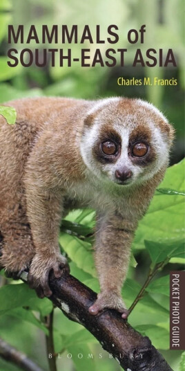 Mammals of South East Asia
