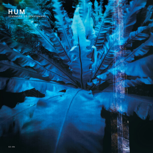 Hüm Downward Is Heavenward CD Hüm Downward Is Heavenward CD